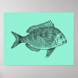 Póster Ilustracion de ciencia de peces de época