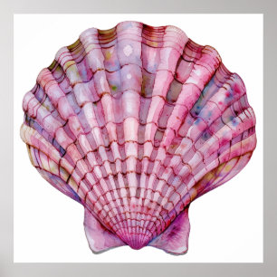 Póster Ilustracion de concha rosa con acuarela vibrante