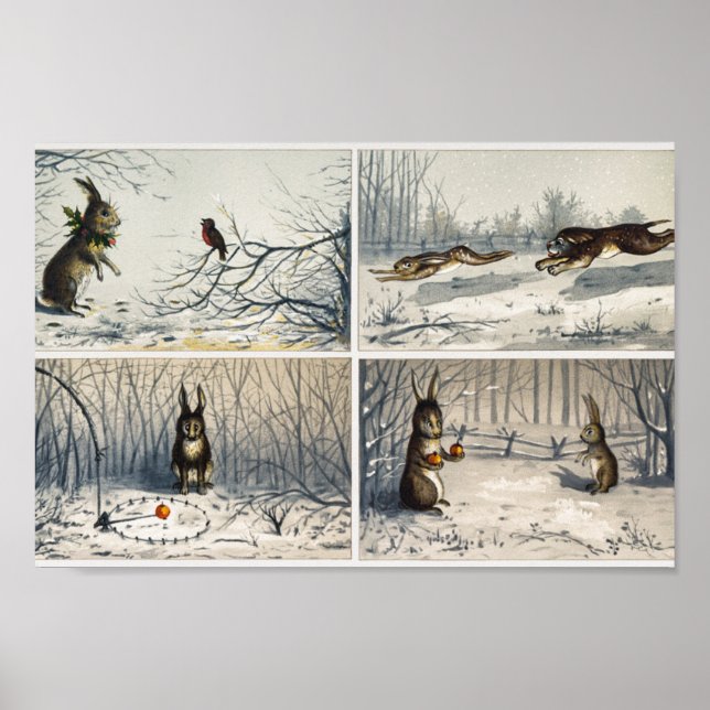 Póster Ilustracion de conejo (Frente)