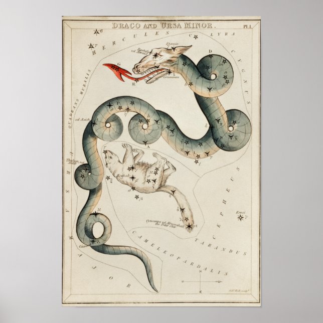 Póster Ilustracion de constelación de época (Frente)