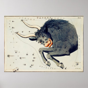 Póster Ilustracion de constelación de época