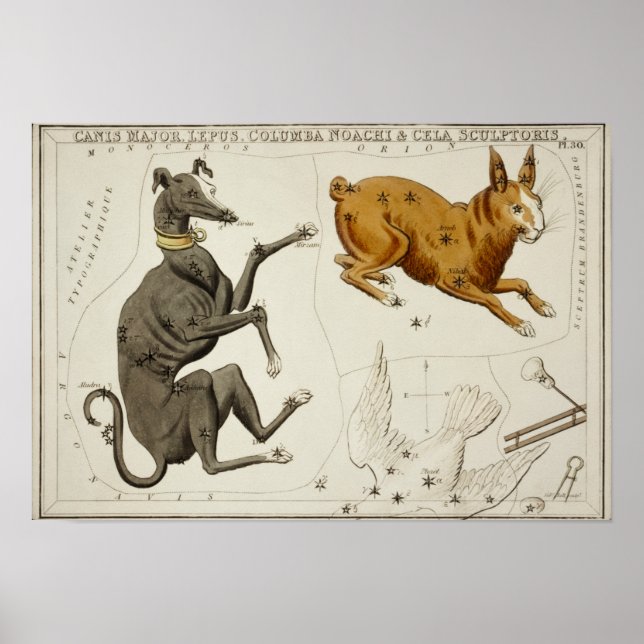 Póster Ilustracion de constelación de época (Frente)