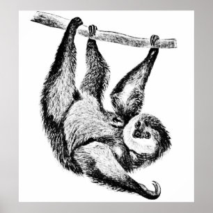 Póster Ilustracion de dibujo de eslora
