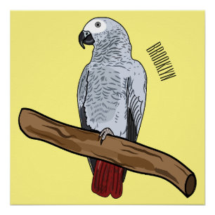 Póster ilustración de dibujos animados de loro gris afric