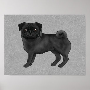 Póster Ilustración de dibujos animados de perro pug negro