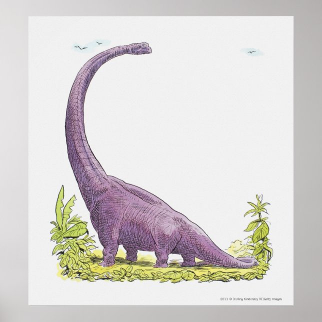Póster Ilustracion de dinosaurio Giraffatitan (Frente)