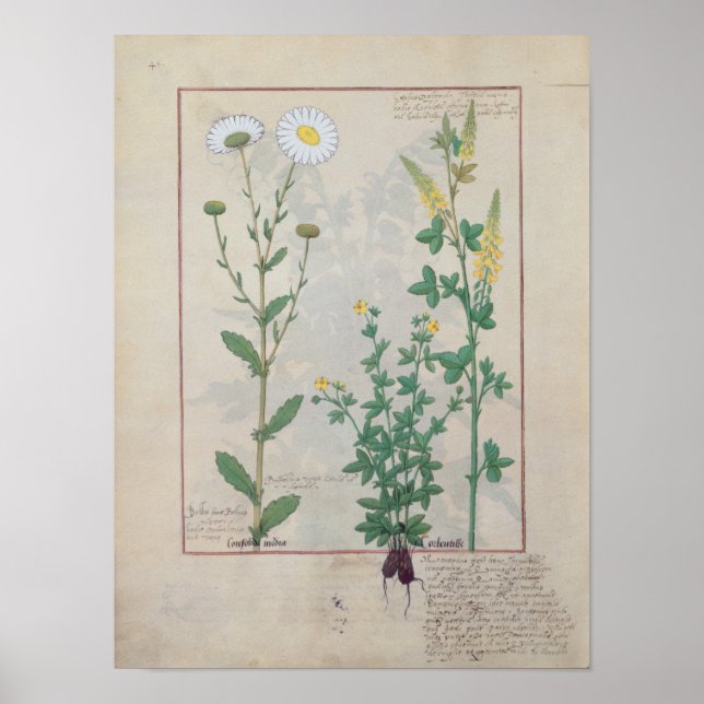 Póster Ilustracion de 'El libro de lo simple (Frente)