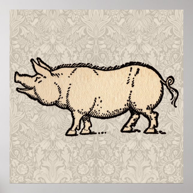Póster Ilustracion de época de cerda de cerdo (Frente)