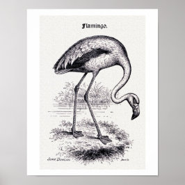 Póster ilustracion de época "Flamingo"