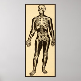 Póster Ilustracion de esqueleto vintage de edad avanzada