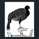 Póster Ilustracion de fauna y flora silvestres Art Deco P<br><div class="desc">Art Deco Pauwie poster de Ilustracion blanco y negro para animales de compañía</div>