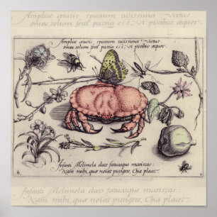 Póster Ilustracion de flor de insectos botánicos de cangr