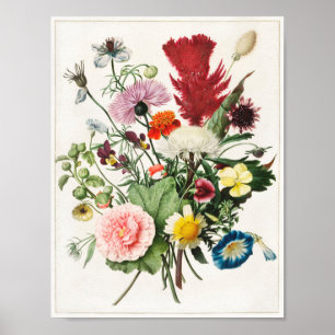 Póster Ilustracion de flores de época