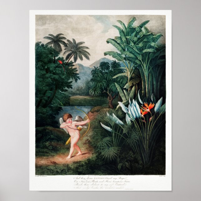 Póster Ilustracion de flores de época (Frente)