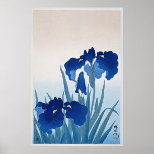 Póster Ilustracion de Flores Iris Vintage