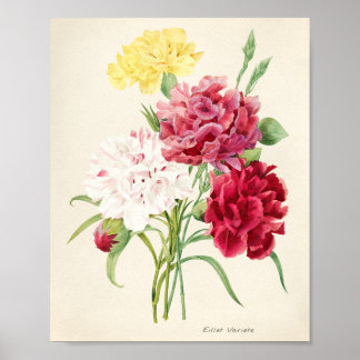 Póster ilustracion de flores rosadas para artsy