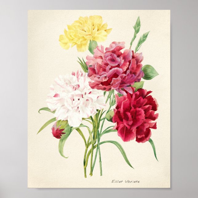 Póster ilustracion de flores rosadas para artsy (Frente)