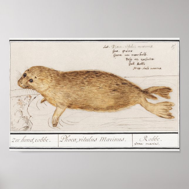 Póster Ilustracion de foco de bebé ventilado (Frente)