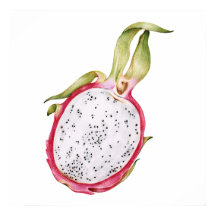 Ilustracion de fruta de dragón dibujado a mano