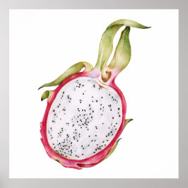 Póster Ilustracion de fruta de dragón dibujado a mano