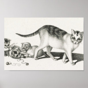 Póster Ilustracion de gato vintage