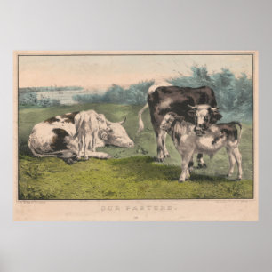Póster Ilustracion de granja de ganado vacuno (1856)