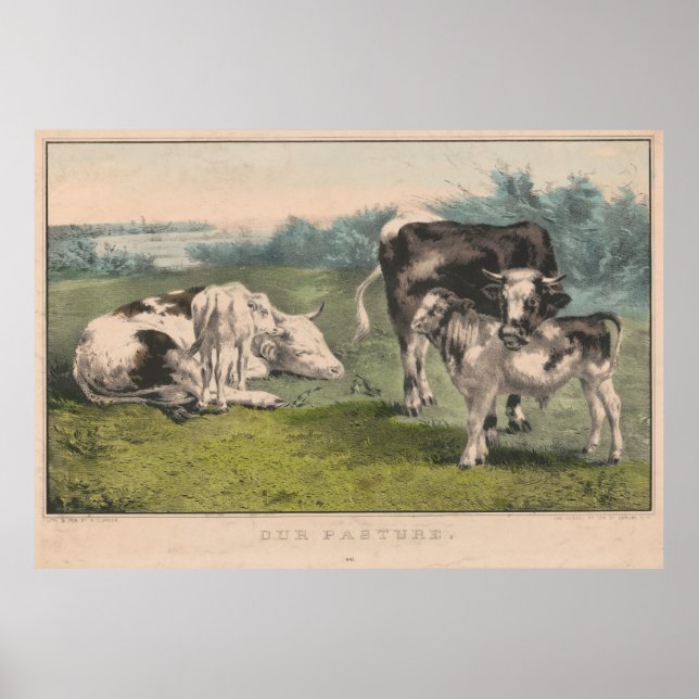 Póster Ilustracion de granja de ganado vacuno (1856) (Frente)
