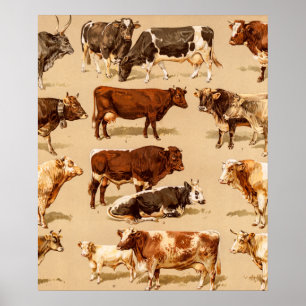 Póster Ilustracion de granja Vintage Cow Calf Bull Dairy