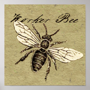 Póster Ilustración de insecto abeja obrera