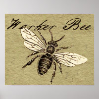 Ilustracion de Insectos de Abeja para trabajadores