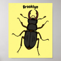 Ilustracion de insectos Stag