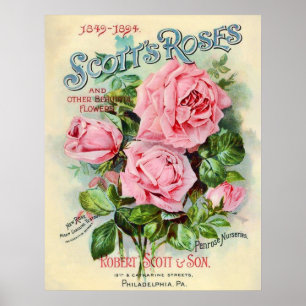 Póster Ilustracion de la cubierta del catálogo de flores