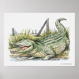 Póster Ilustracion de lagarto en la orilla