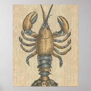 Póster Ilustración de langosta antigua mariscos de Maine