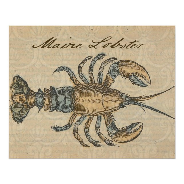 Póster Ilustracion de langosta Antique Maine (Anverso)