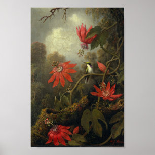 Póster Ilustracion de las aves de época