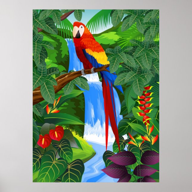 Póster Ilustracion de Macaw (Frente)