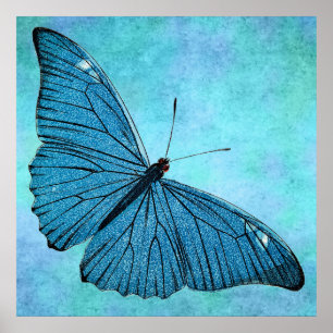 Póster Ilustracion de mariposa azul Verde azulada de époc