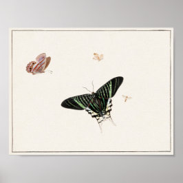 Póster Ilustracion de mariposa de época