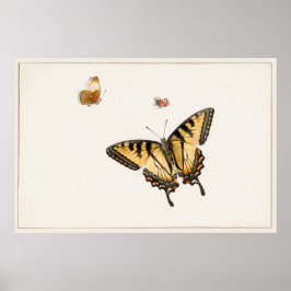 Póster Ilustracion de mariposa de época