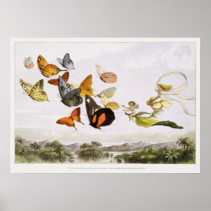 Póster Ilustracion de mariposa de época