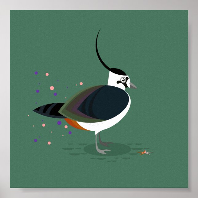 Póster Ilustracion de pájaro - Lapidación (Frente)