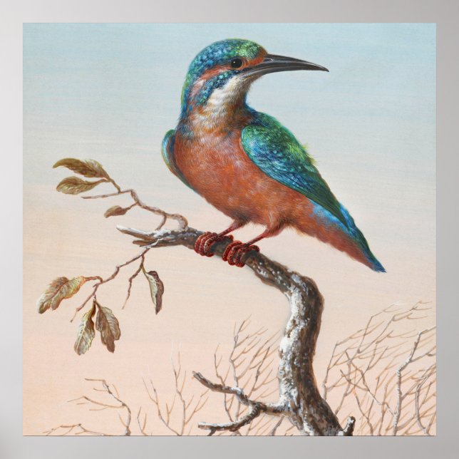 Póster Ilustracion de pájaro vintage (Frente)