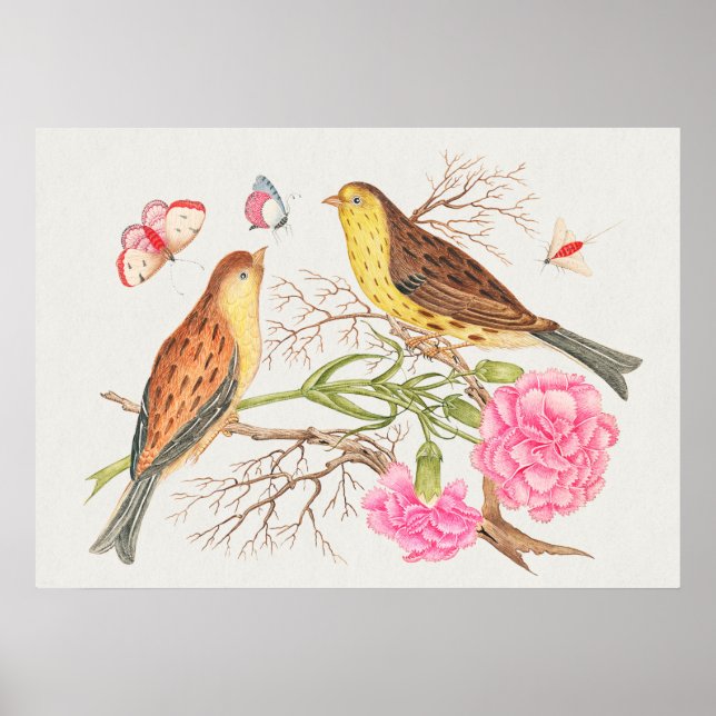 Póster Ilustracion de pájaro vintage (Frente)