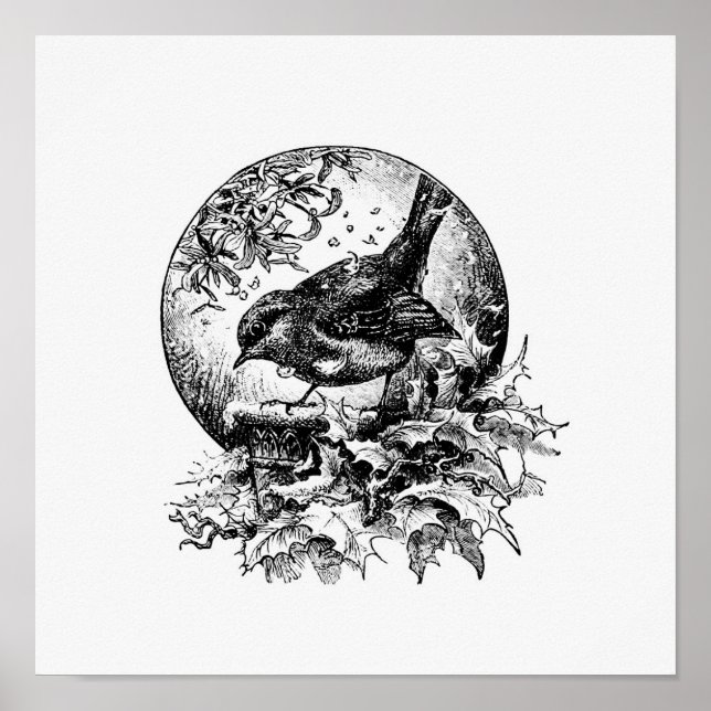 Póster Ilustracion de pájaro vintage (Frente)