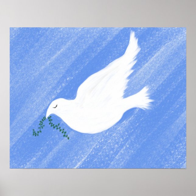 Póster Ilustracion de palomas pacífico (Frente)