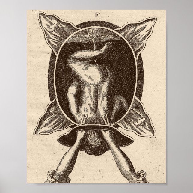 Póster Ilustracion de parto de Justine Siegemund Court (Frente)