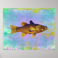 Ilustración de peces de agua dulce de cosecha de v
