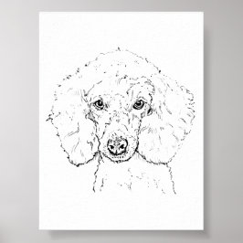 Póster Ilustración de perro caniche lindo, dibujado a man