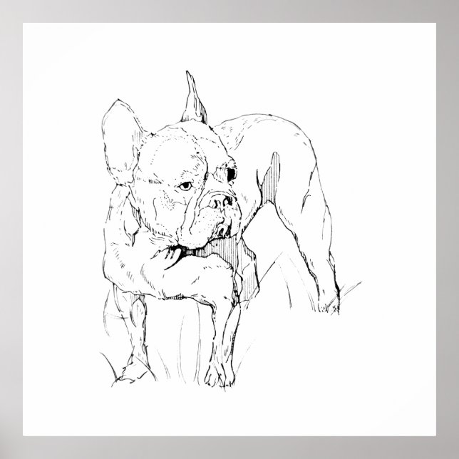 Póster Ilustración de perro dibujada a mano de Bulldog Fr (Frente)
